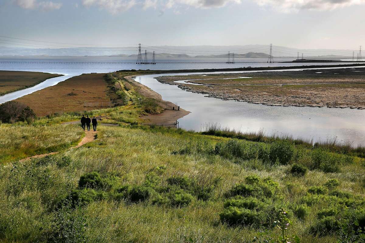 The levees at right will eventually be breached allowing�San Francisco Bay��waters to flow into the marshlands at the Ravenswood Salt Ponds, on Thurs. April 12, 2018, in Menlo Park, Ca. The restoration of the Ravenswood Salt Ponds is set to begin after the passage of the Measure AA parcel tax was approved by Bay Area voters in 2016.