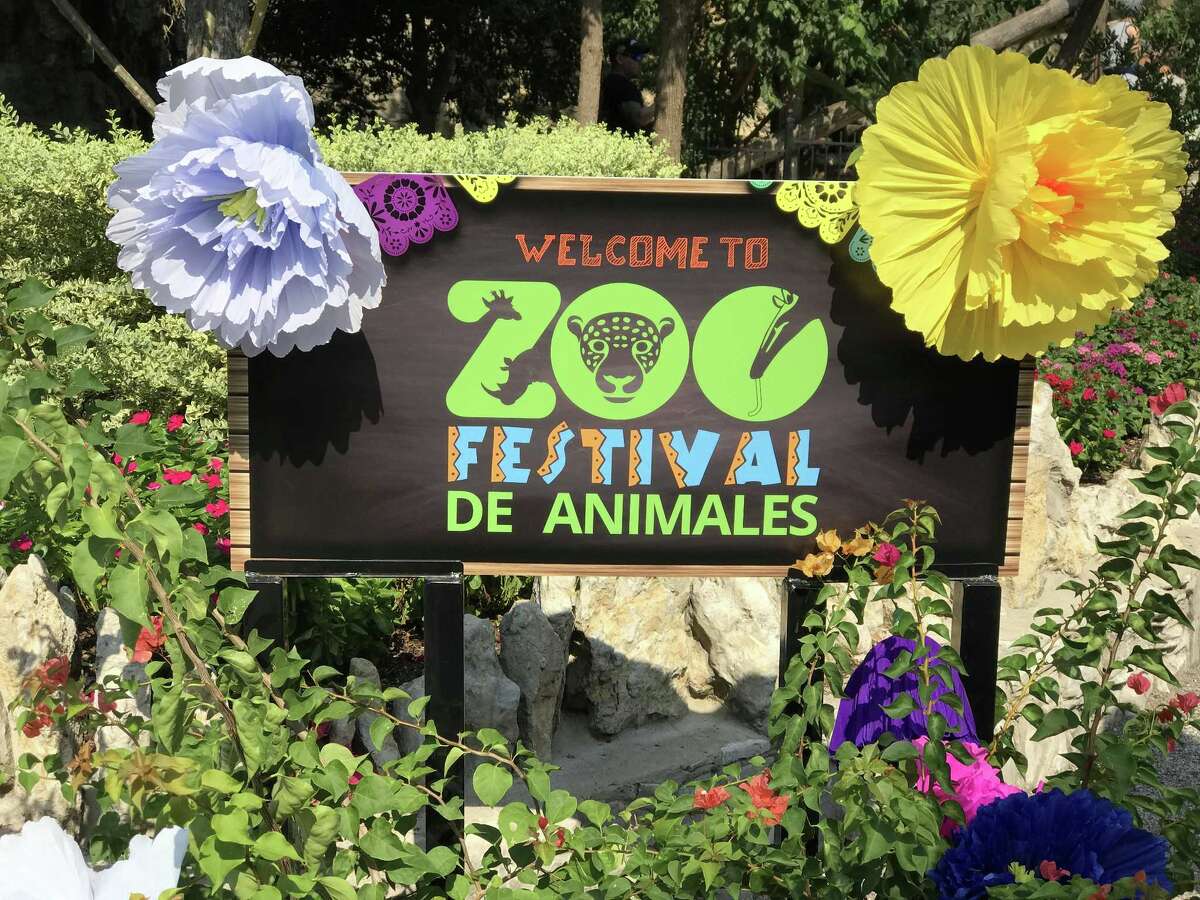 New, or relatively new, Fiesta events to try in 2019