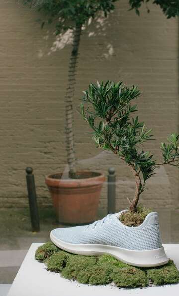 shoes made from eucalyptus trees