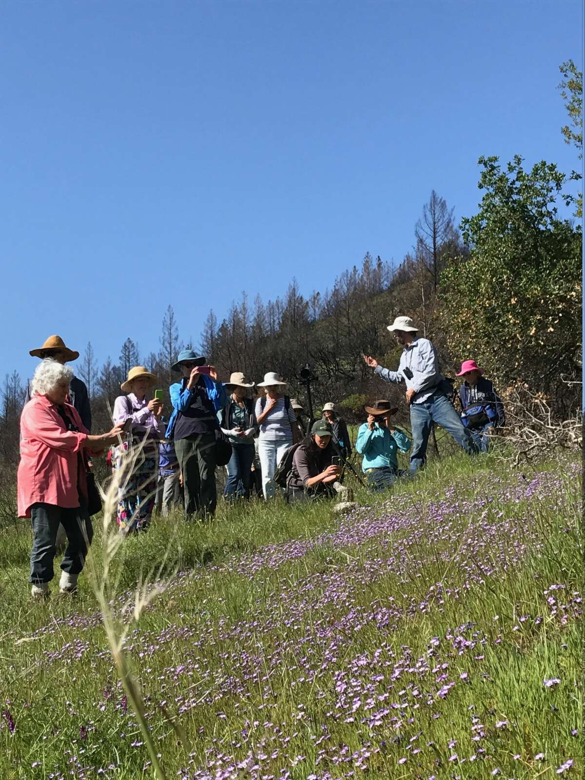The Sonoma Ecology Center leads a group from Bay Nature Magazine on a wildlife hike in Sugarloaf State Park on April 8, 2018.