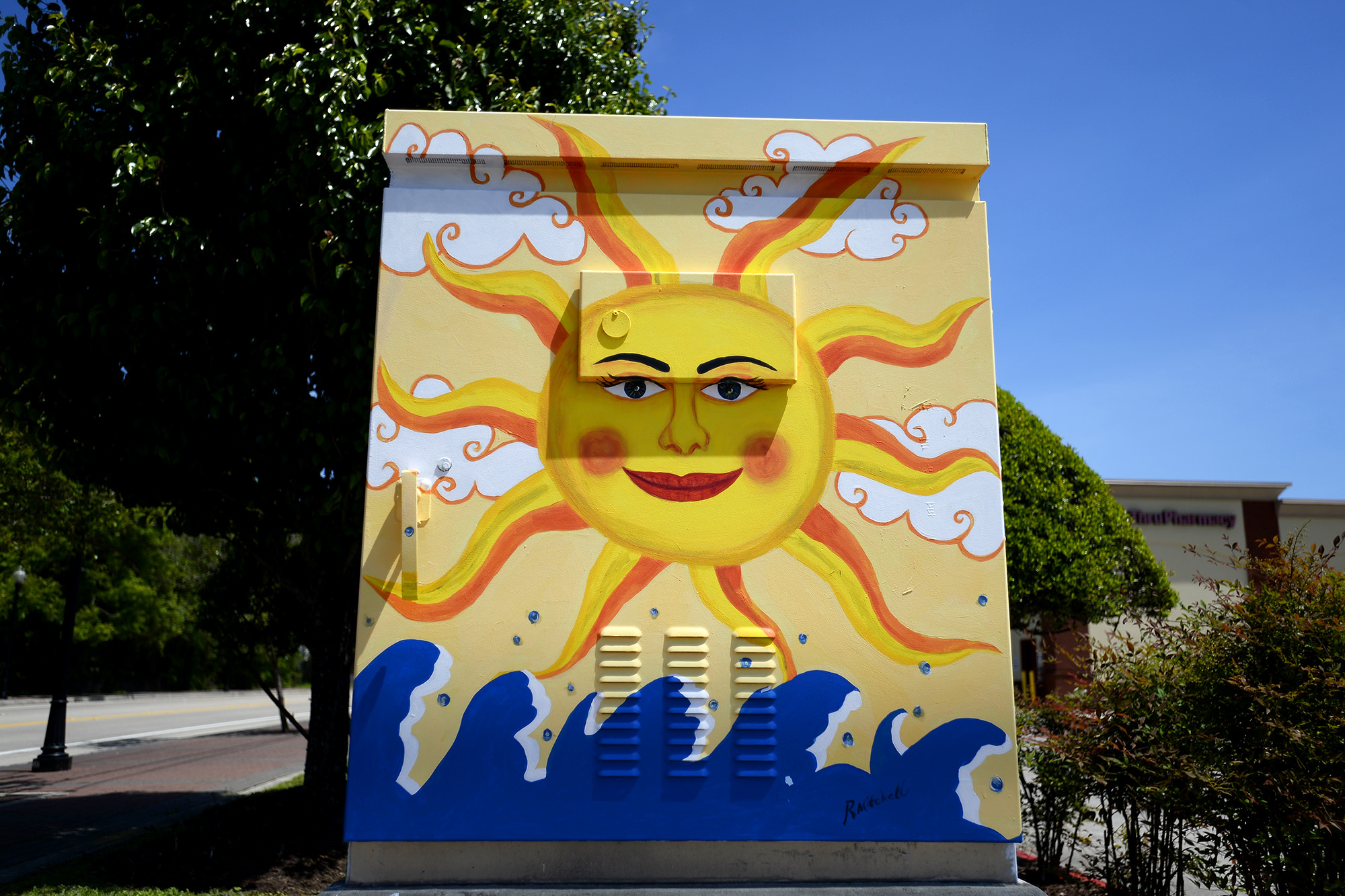 Photos: Colorful murals dot Beaumont traffic boxes