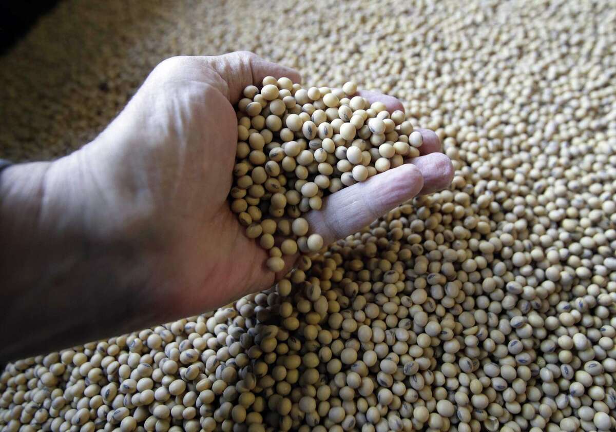 largest poducer of soy in the world largest poducer of soy in the world