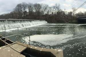 The lure of the fishway: Open house planned along Mianus River