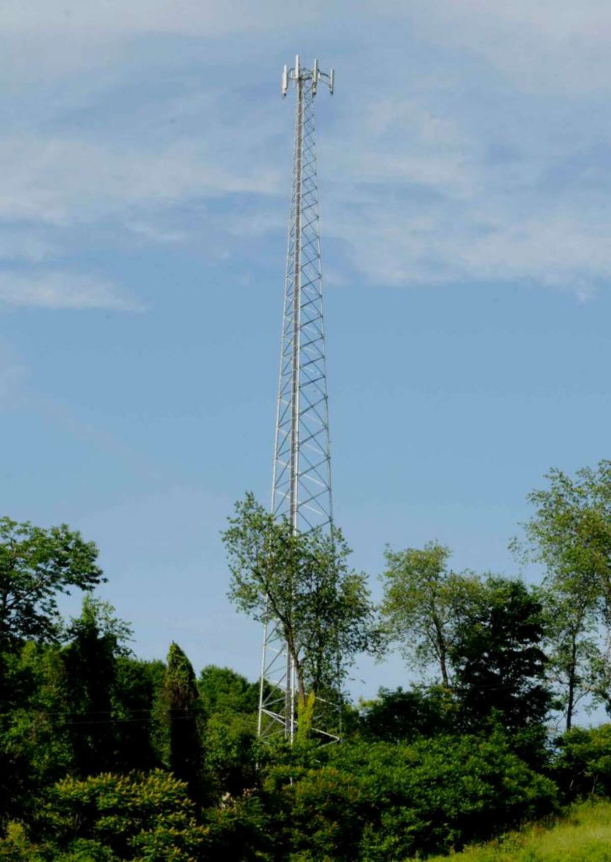 A cell tower on the land next to Sharon Zayachek in Argyle, New York 6/15/2010.( Michael P. Farrell / Times Union )