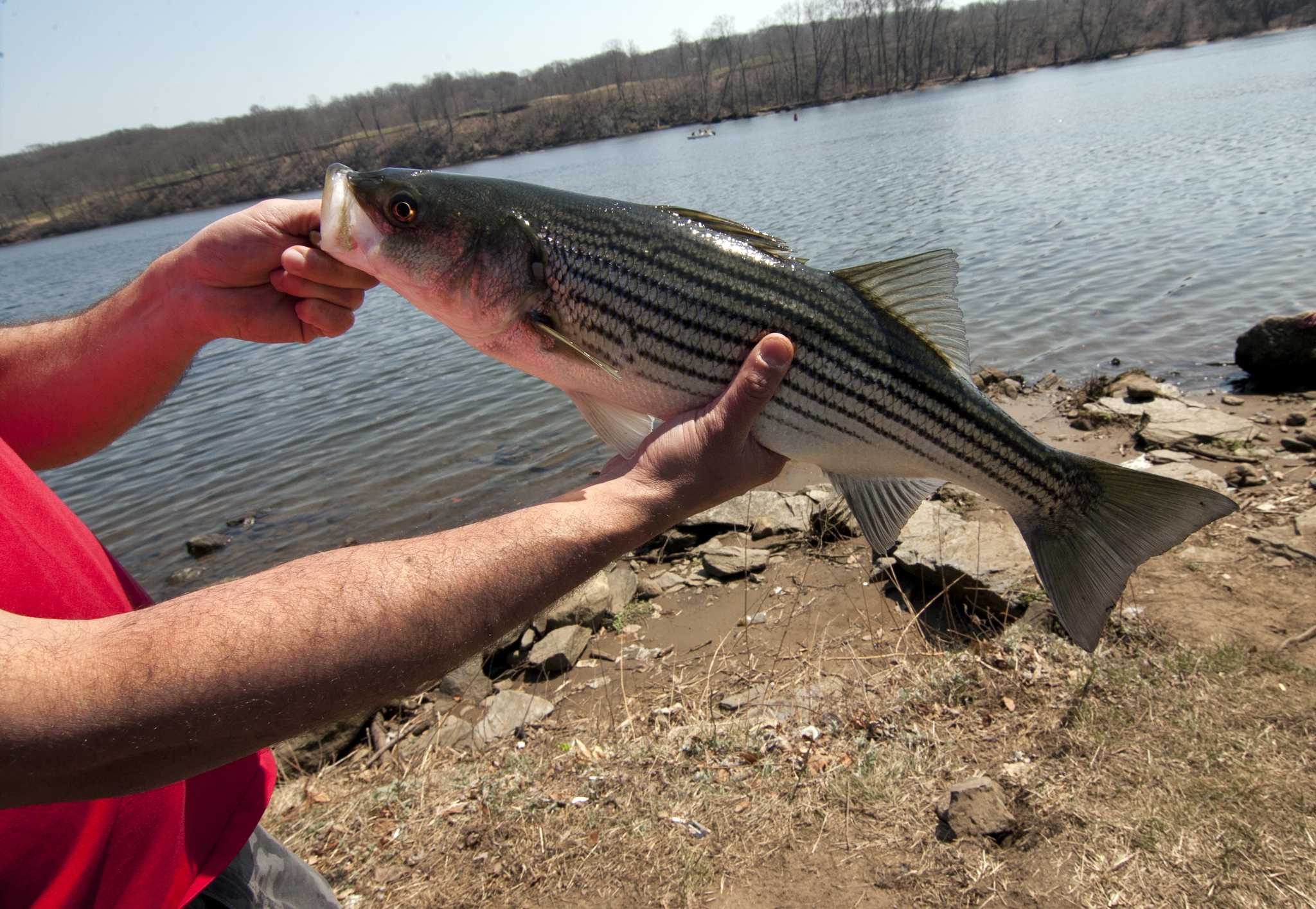 Kansas' Bidunga, Wake Forest's Harris, Saint Mary's Murauskas among ...