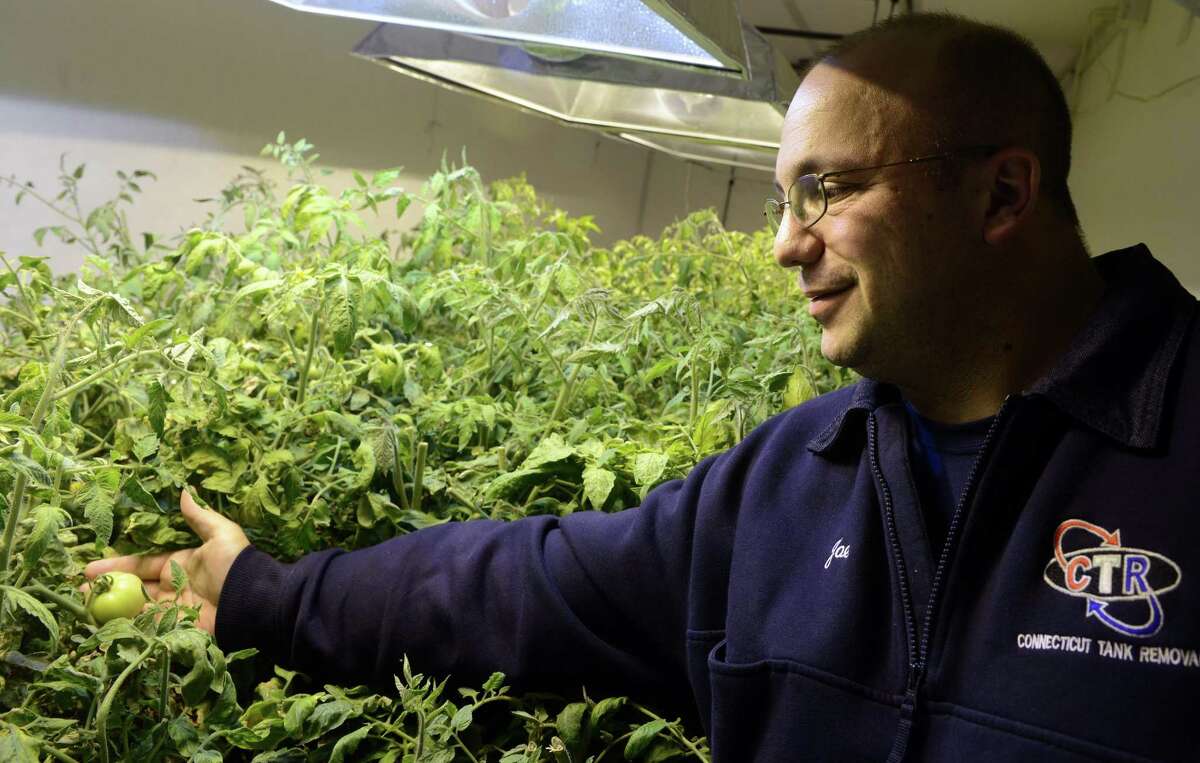 Joseph Palmieri Jr. has plans to start a medical marijuana farm at his property in Bridgeport, Conn. Awaiting state approval, Palmieri is testing out his one-of-a-kind grow pod by growing tomotoes until he has the green light to begin cultivating marijuana plants.