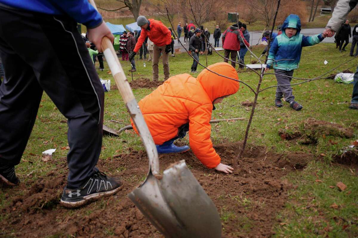 Jack Pearce, 6, of East Schodack helps plant an apple tree at the Nine Pin Ciderworks apple tree planting party for its urban orchard project at Washington Park on Sunday, April 15, 2018, in Albany, N.Y. The trees were provided by Kinderhook N.Y.-based Samascott Orchards. The orchard will be comprised of eight unique apple varieties that flourish in New York State. (Paul Buckowski/Times Union)