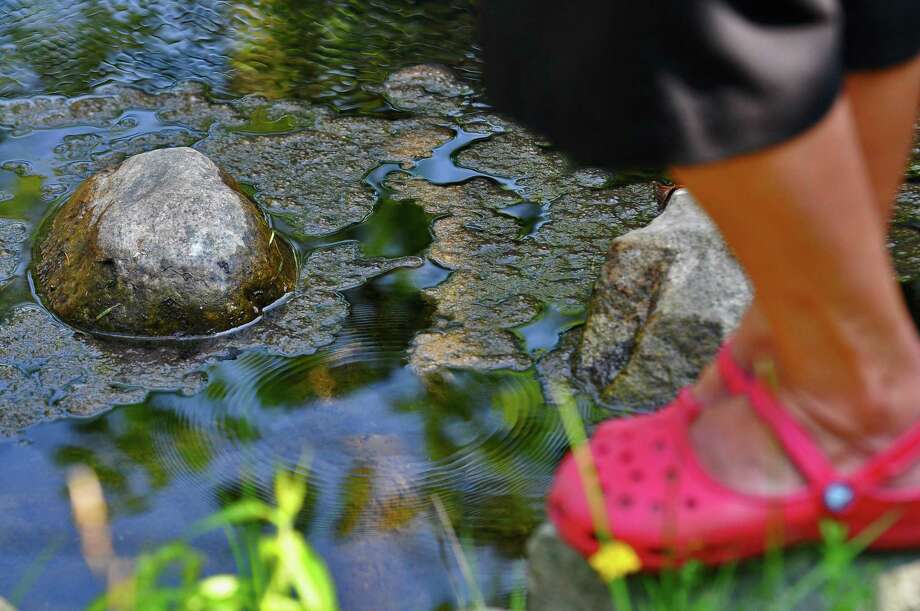 Algae grows in a brook before it empties into Lake George in Lake George, NY  (Philip Kamrass / Times Union archive) Photo: PHILIP KAMRASS, ALBANY TIMES UNION / 00009724A