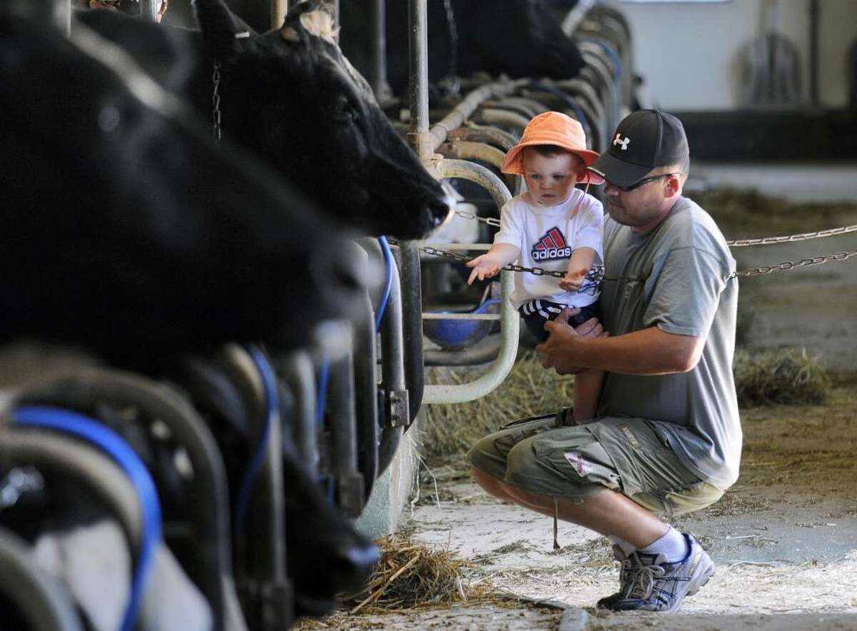 Photos Sundae on the Farm