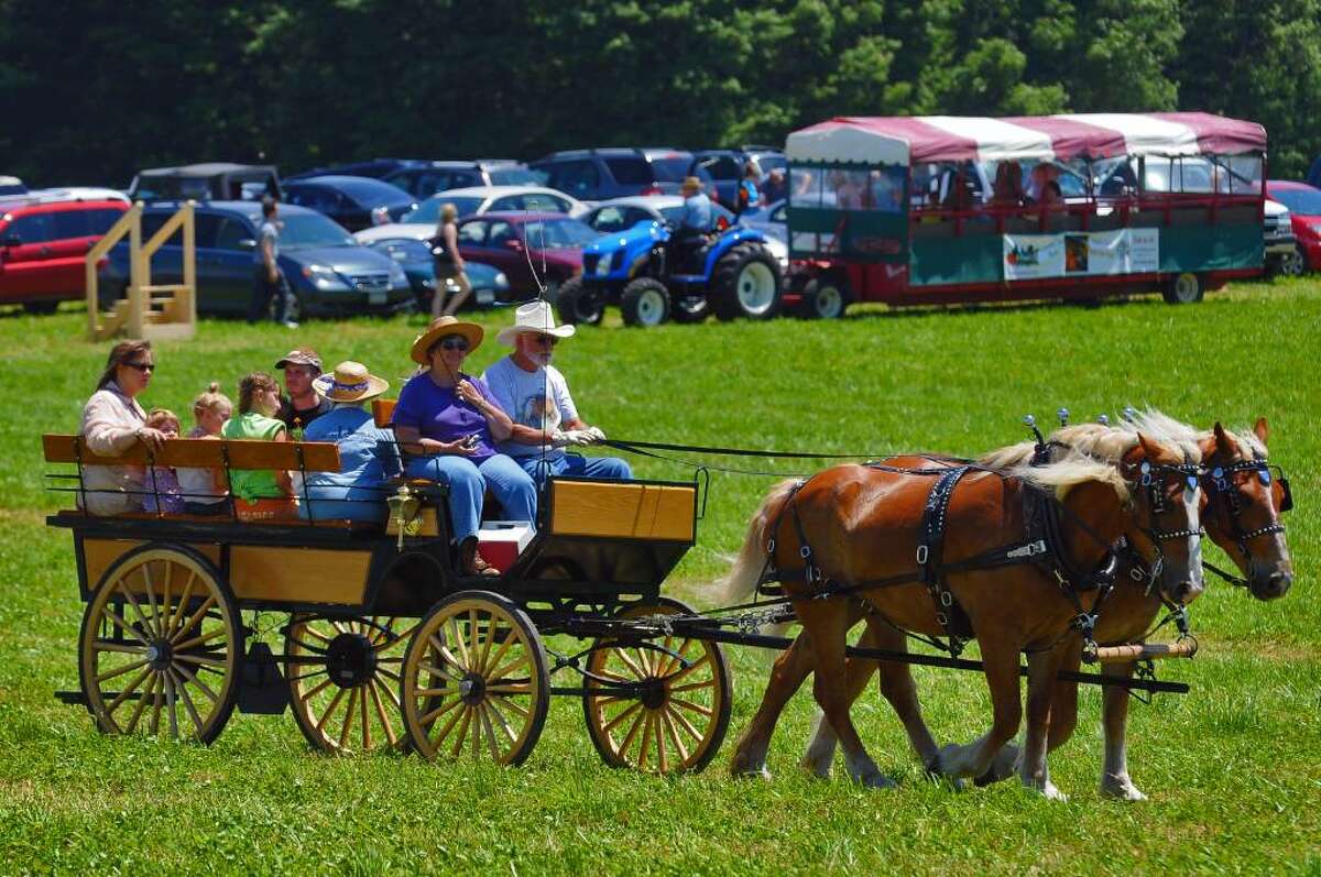 Photos: Sundae On The Farm