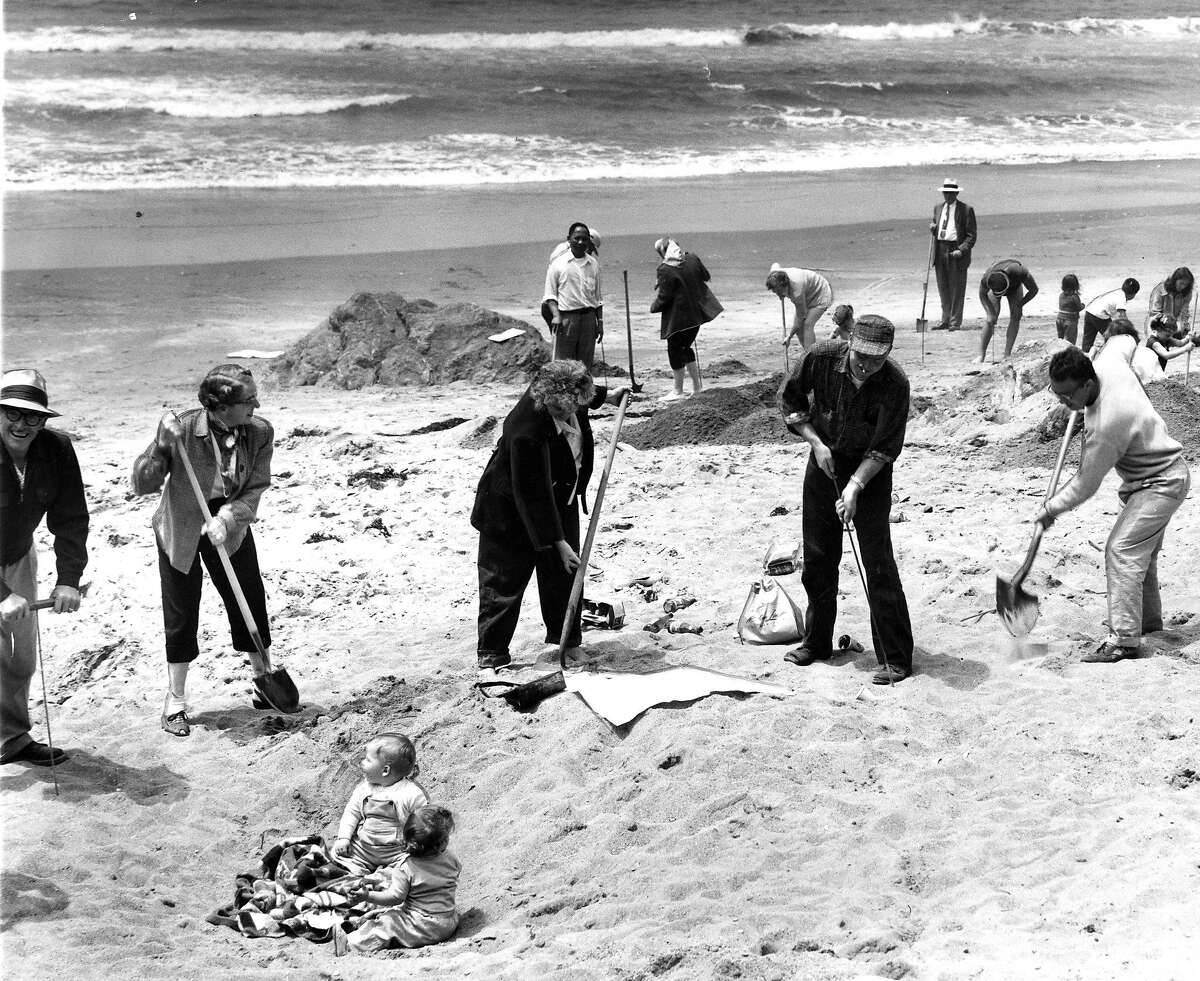 Emperor Norton Treasure Hunt 1957. hunters dig, and babies watch, as the treasure is pursued at Stinson Beach, June 4, 1957 Photo ran 06/5/1957, p. 4