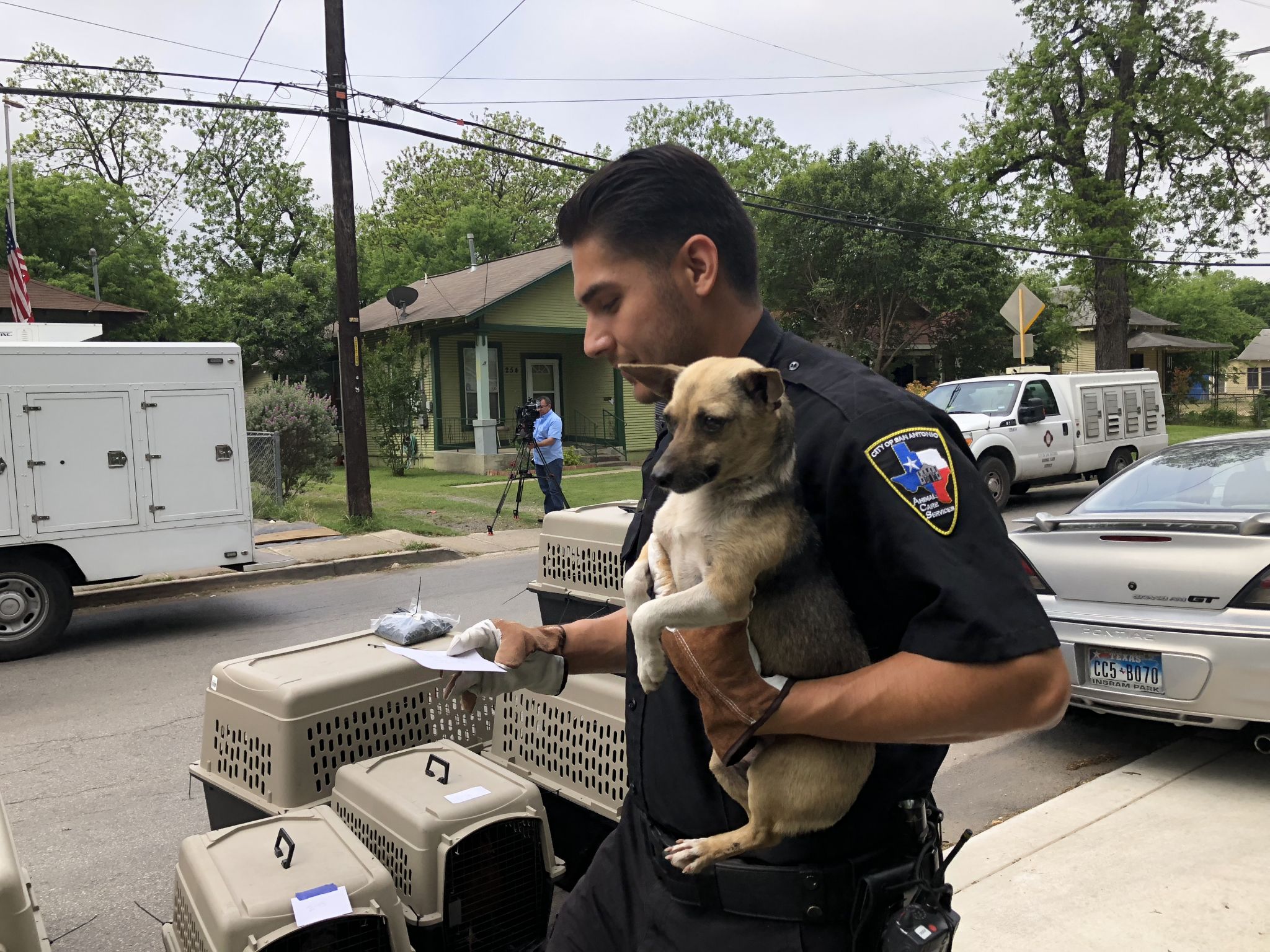 Katy PetSmart fires groomer who mishandled dog