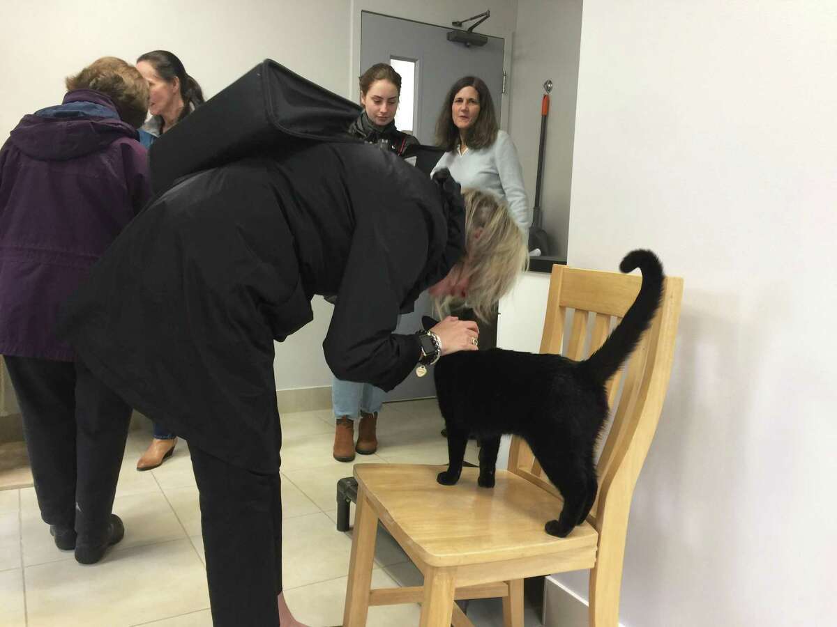 The Animal Haven staff, community celebrates reopening of longtime North Haven nokill shelter