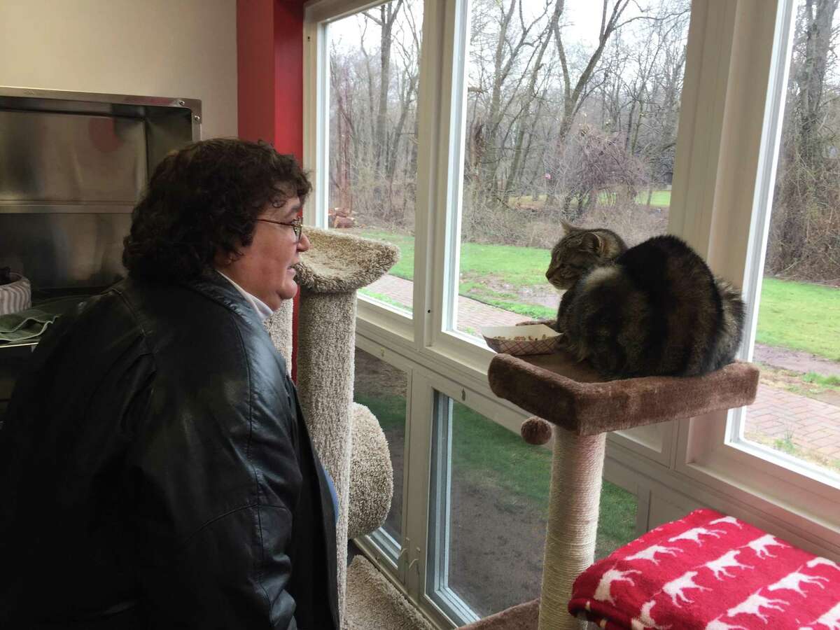 The Animal Haven staff, community celebrates reopening of longtime North Haven nokill shelter