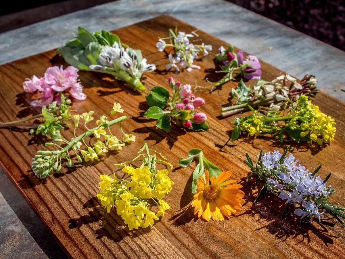Edible Flowers in Peter Jacobsen's garden in Yountville, Calif. are seen on March 17th, 2018. Bottom right; Clockwise,; Rosemary, Calendula, Mustard, Brassica, Chick Weed, Peach Blossom, Fava Bean, Radish, Pea Blossom, White Arugula, Yellow Arugula, center Transcendent Crab Apple.