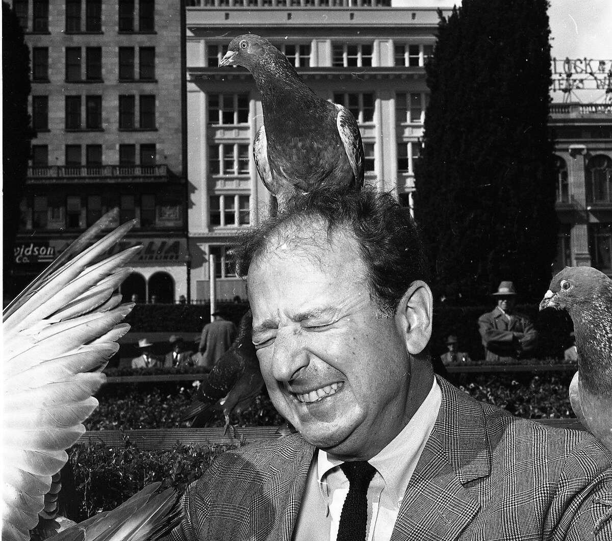 April 1, 1963: Herb Caen winces as a pigeon lands on his head, during a promotion for "The Birds" with Alfred Hitchcock in Union Square.