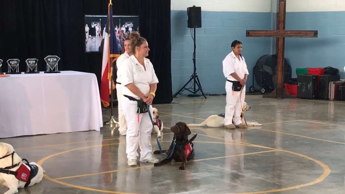 Patriot Paws celebrates 10year anniversary with eight canine graduations