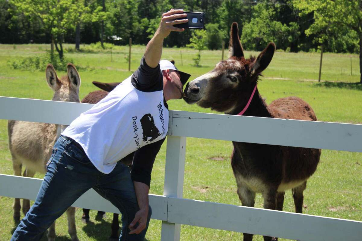 Plum Grove resident Lester Morrow lets his donkey grab an animal cracker from his mouth while doing a Facebook Live session on Thursday with outdoor survivalist and TV host Bear Grylls. Morrow was a recent guest on Grylls’ new show “Face The Wild.”