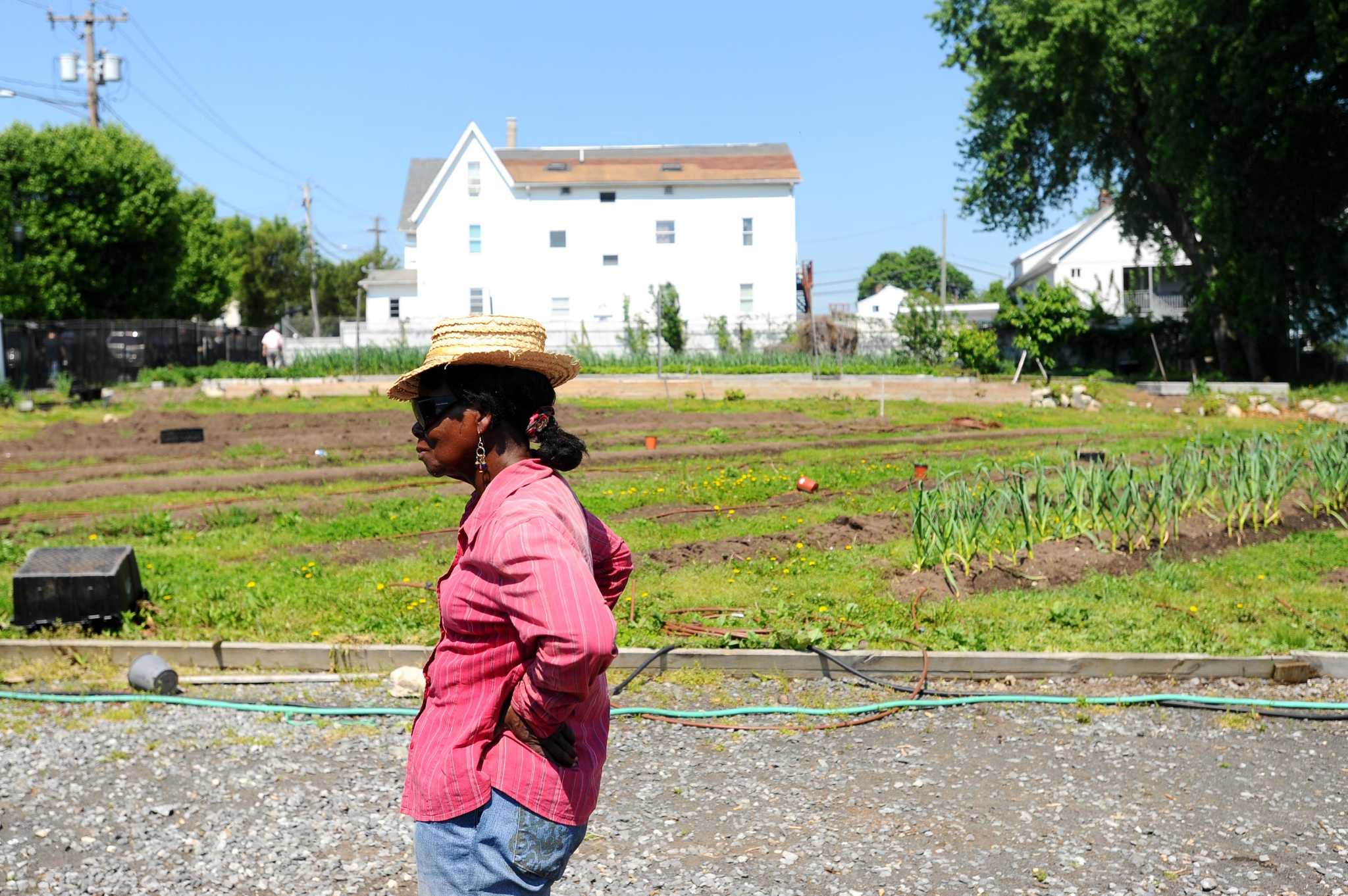 Farmers market, Stamford beautification projects get boost from city grants