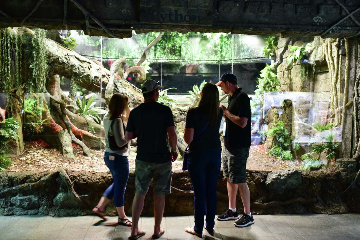 Sip Saint Arnold at the snake exhibit during the Houston Zoo's