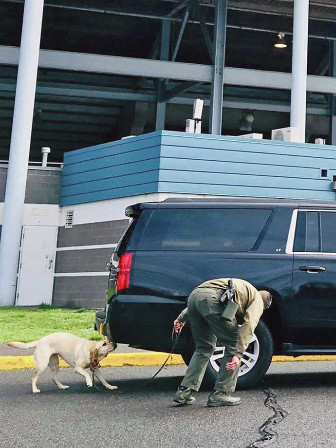 25 police K9 teams practiced explosives training Connecticut Post