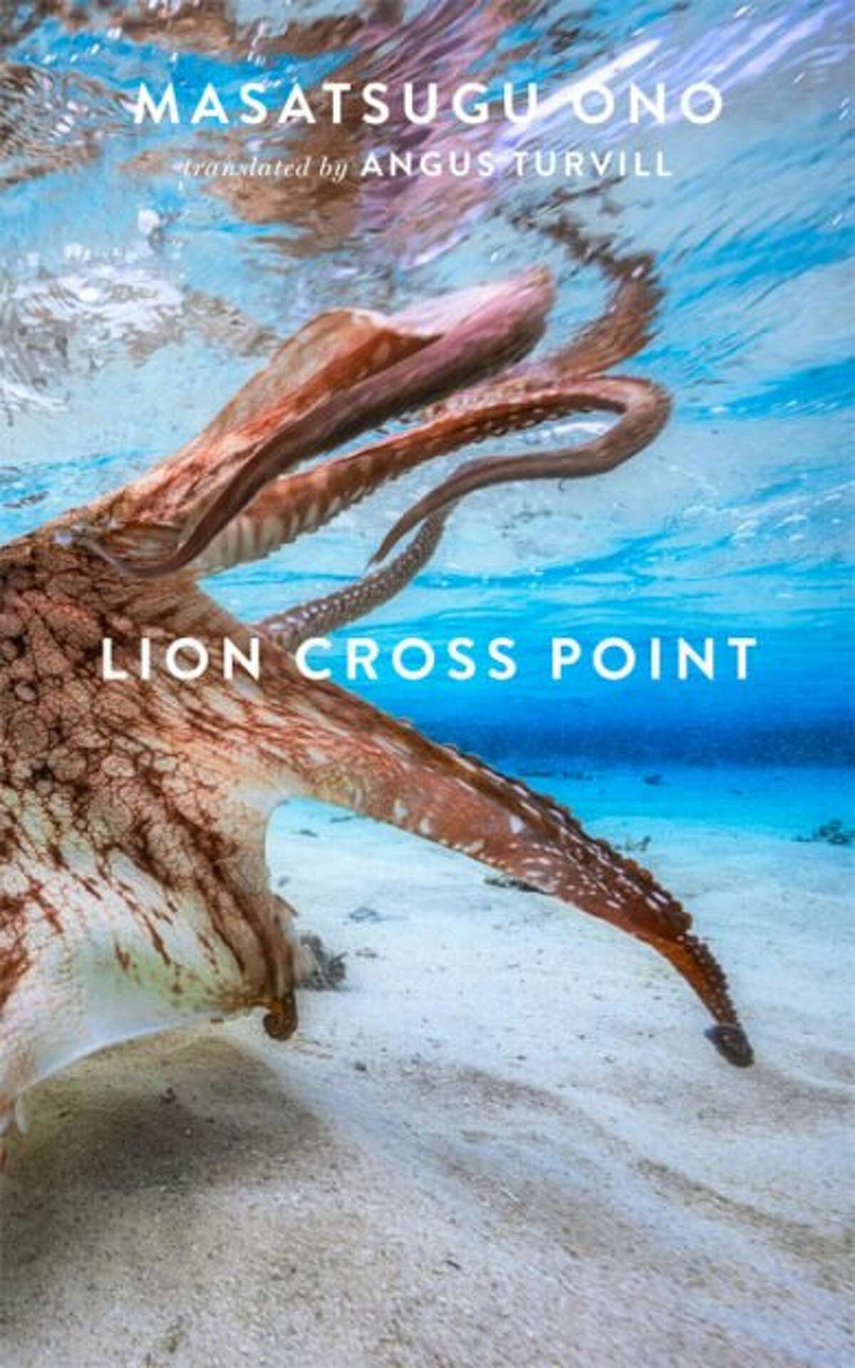 "Lion Cross Point"