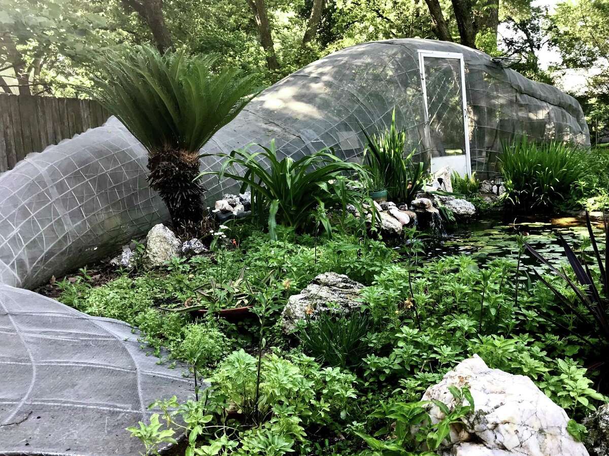 Paul Kittelson's 45-foot long "Whale," which doubles as a screened-in patio, wraps around a bog garden and fountain.