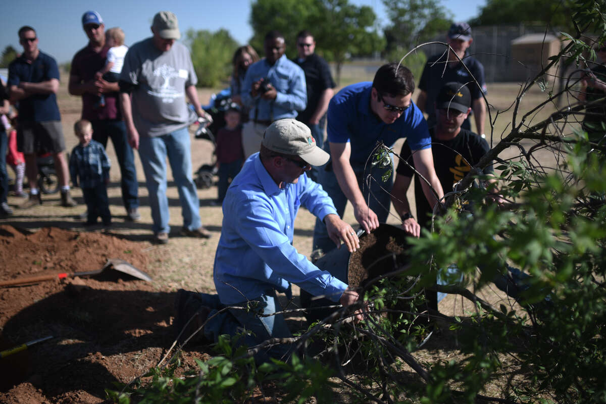 Volunteers plant trees in Windlands Park on April 28. The trees were donated by Apache Corp. to honor children born or adopted into regional Apache employee families last year. The company, in conjunction with Travis Elementary School, will be planting trees at Dunagan Park on Friday.