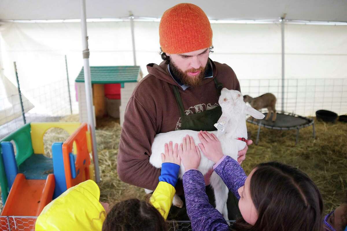 Goat activities in Connecticut this summer