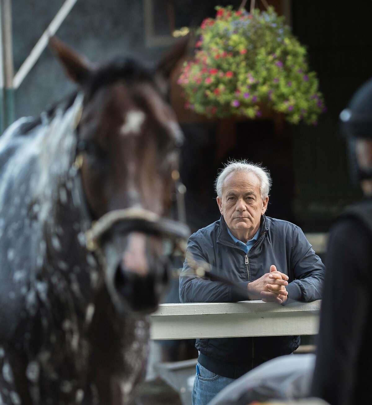 Trainer Jerry Hollendorfer watches his charge Personal Ensign entrant Songbird in the barn area of the Saratoga Race Course Thursday Aug. 24, 2017 in Rexford, N.Y. (Skip Dickstein/Times Union)
