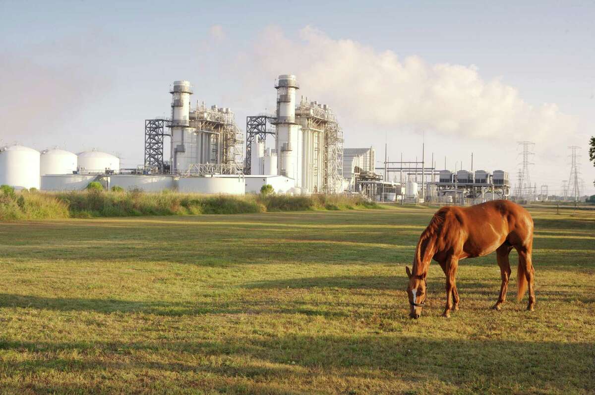A horse grazes near Calpine's Brazos Valley Power Plant in Richmond, Texas. The company has a fleet of natural gas fired plants.