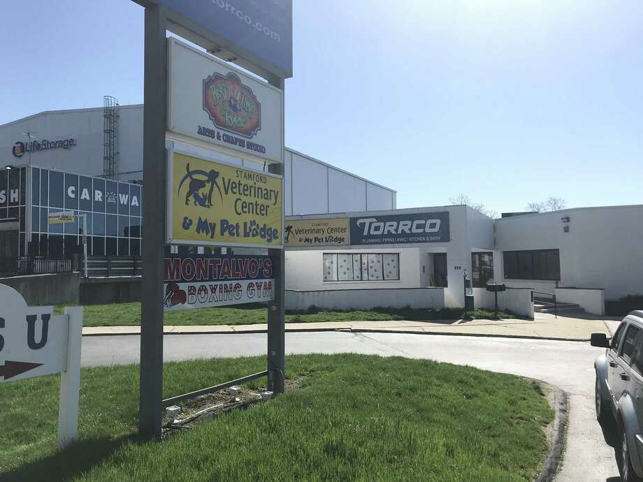 Point of Interest New Haven pet store seeks Stamford location