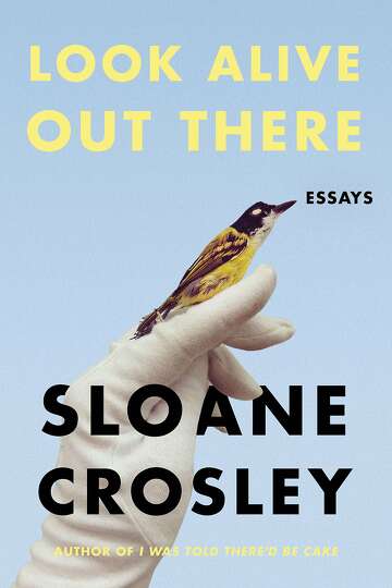 look alive out there by sloane crosley