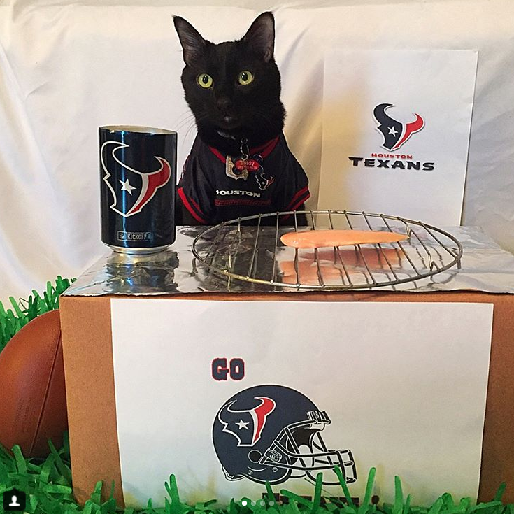 This Houston cat loves the heck out of some Houston sports teams