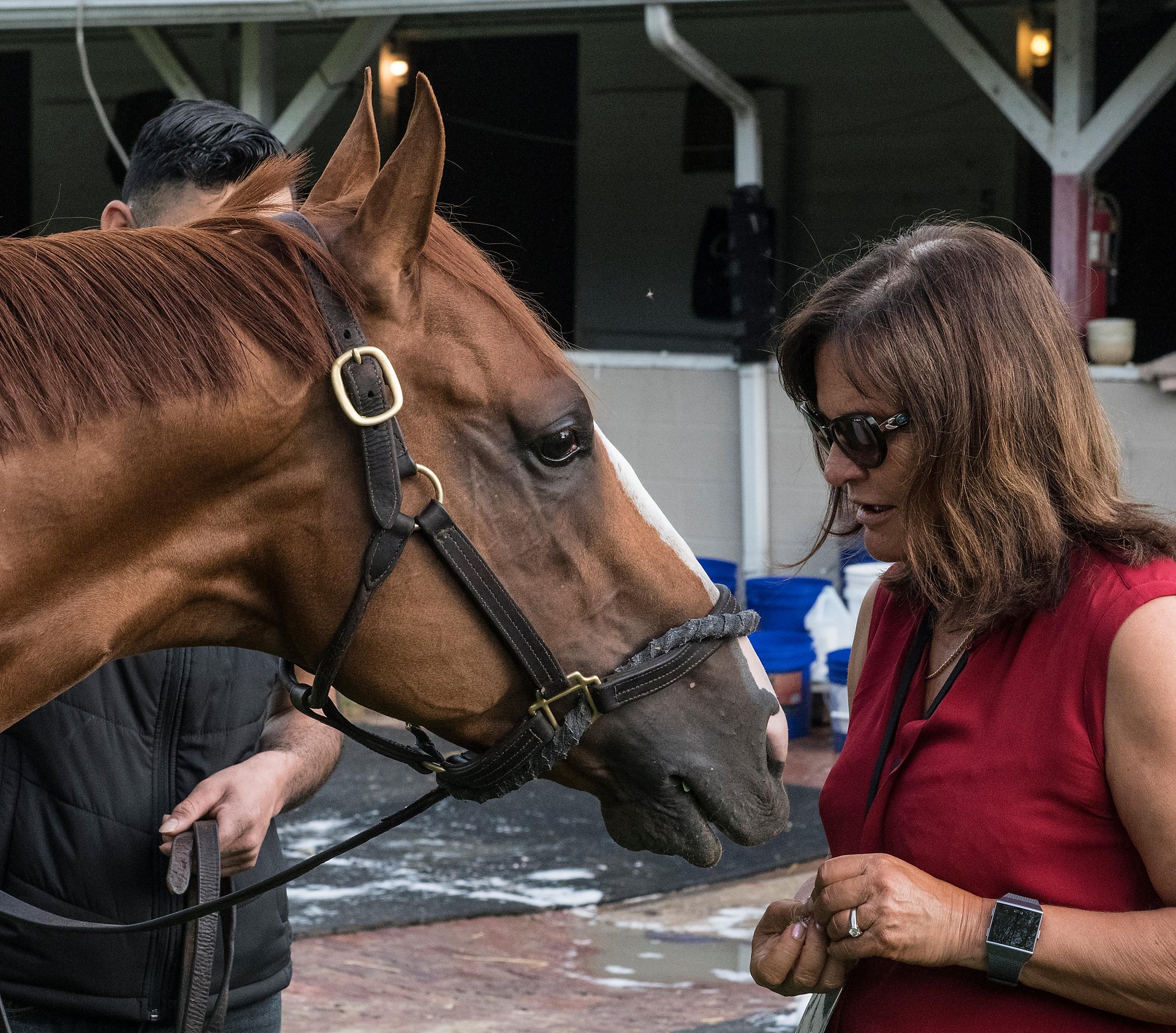 Jackson Family Wines’ Barbara Banke has another Kentucky Derby entry - SFGate