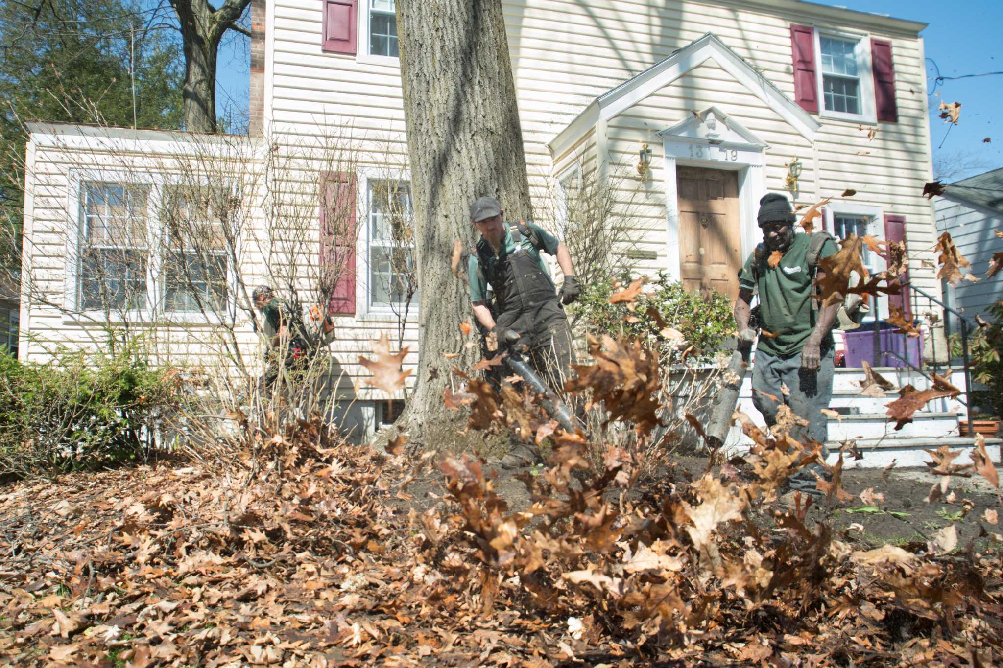 Schenectady extends yard waste pickup