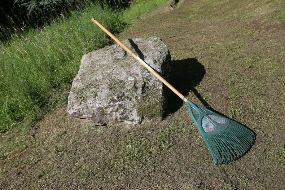 use a plastic rake to clear leaves.