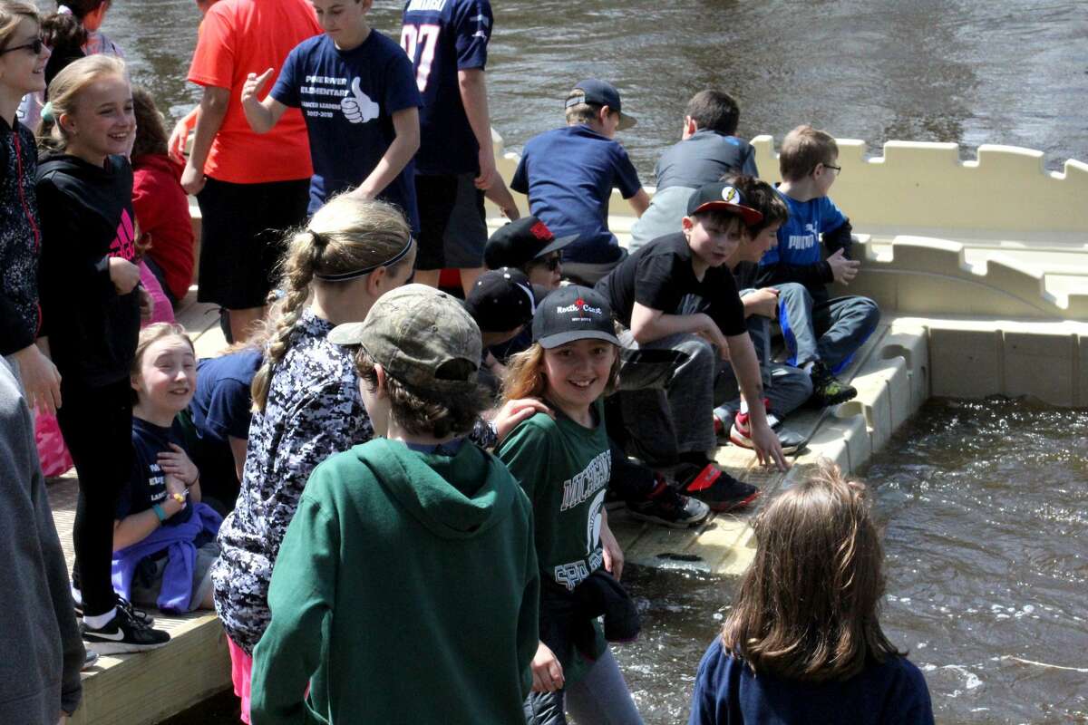 Pine River students raise salmon in classroom