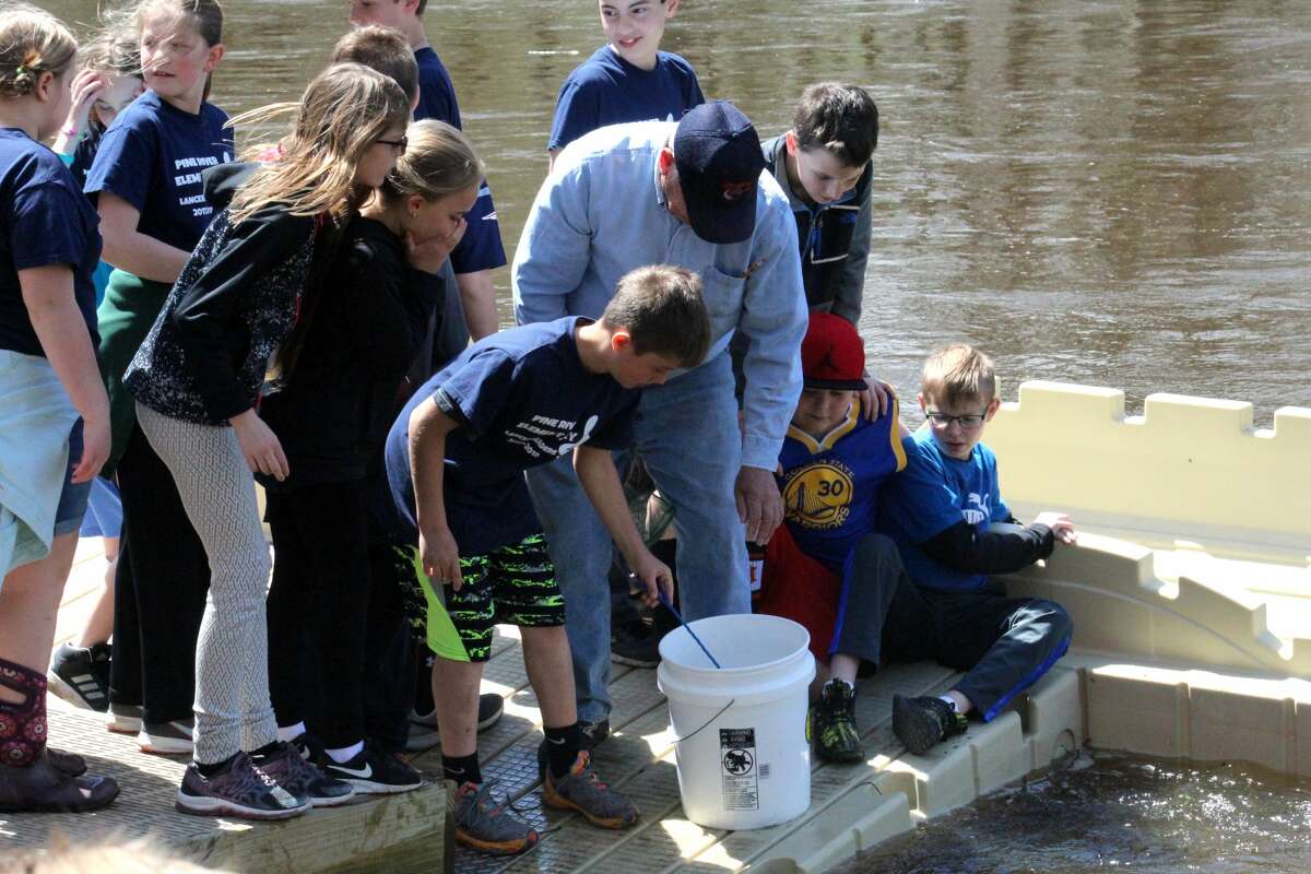 Pine River students raise salmon in classroom