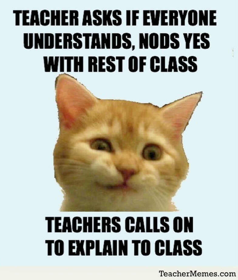 Hilarious school memes in honor of Teacher Appreciation Week 2018 ...