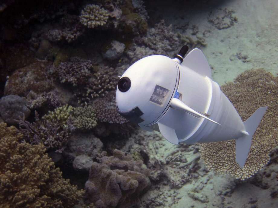 Robotic fish like Sofi, unveiled by MIT scientists, could be essential to protect marine life threatened by human activity and climate change. Such technology — not burdensome regulation — is key to combating climate change. Photo: JOSEPH DELPRETO AND ROBERT KATZS /NYT / MIT CSAIL