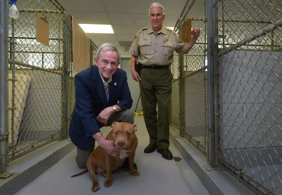 bridgeport animal shelter