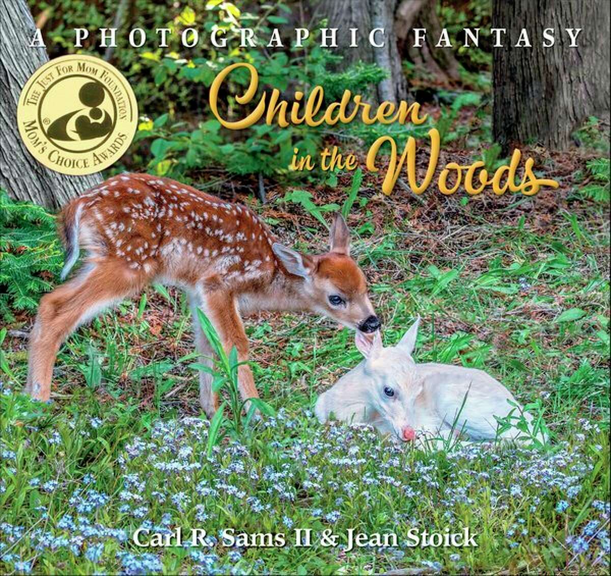 'Children in the Woods' is the newest book by Carl R. Sams II and Jean Stoick. (Photo provided/Carl R. Sams II Photography, Inc.)
