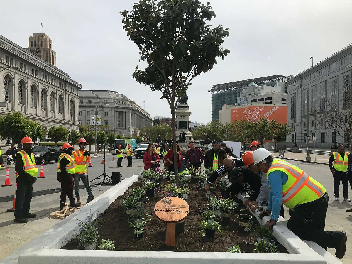 Workers plant a magnolia tree near City Hall in honor of Ed Lee, who died in December. Click ahead to see how San Franciscans paid respect to the late mayor. >>>