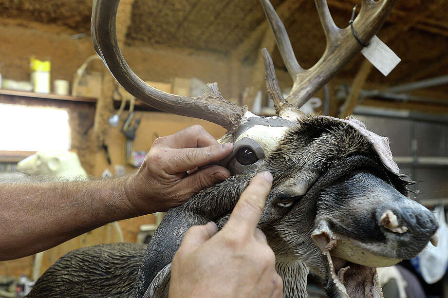 mid-county comedian turns taxidermist even though
