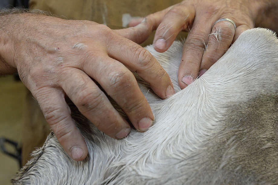 mist neil wersig uses his hands to help define the musculature