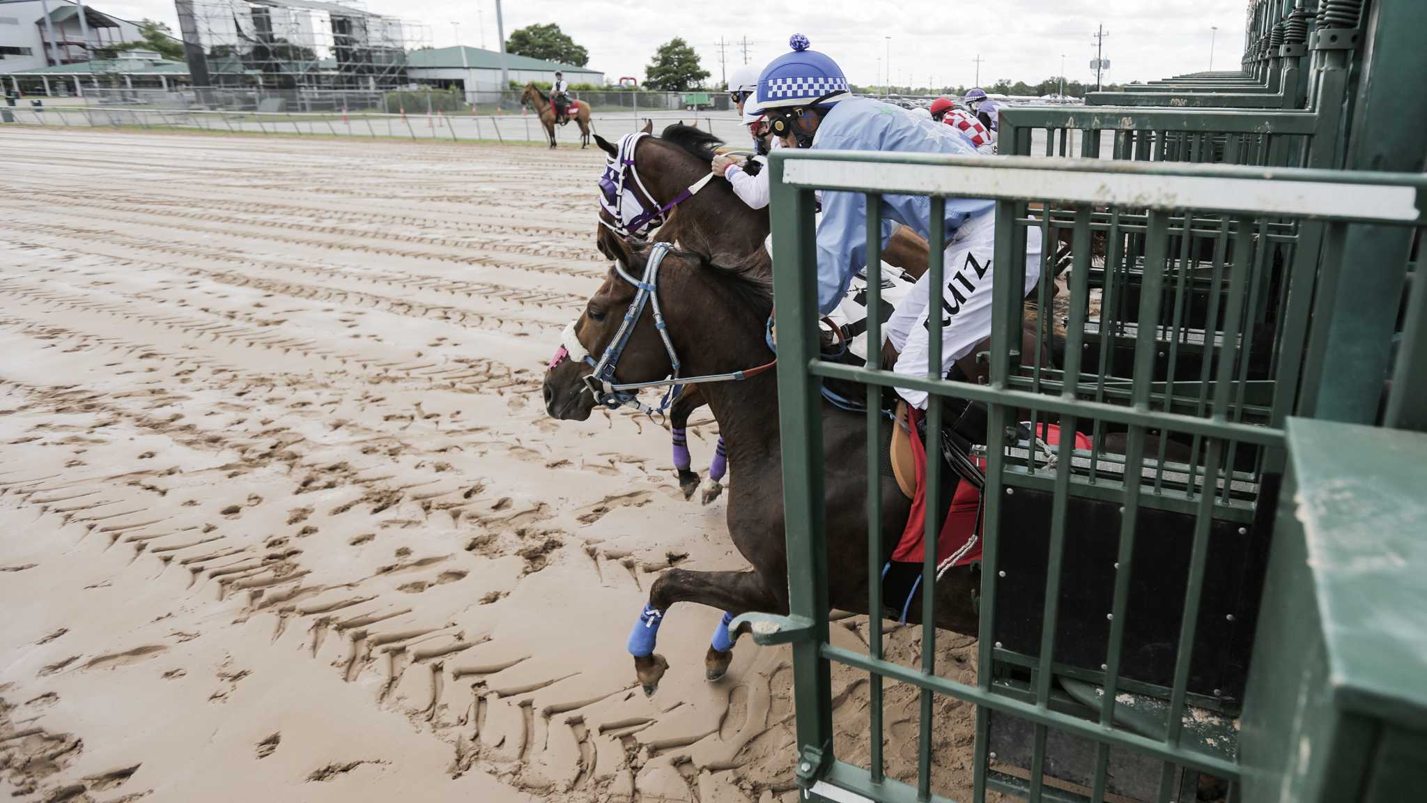 Sightlines Kentucky Derby Day at Sam Houston Race Park Houston Chronicle