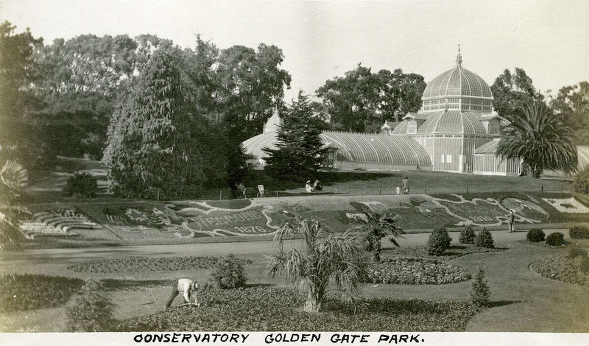 Horses in the back: Now you can ride a horse in Golden Gate Park