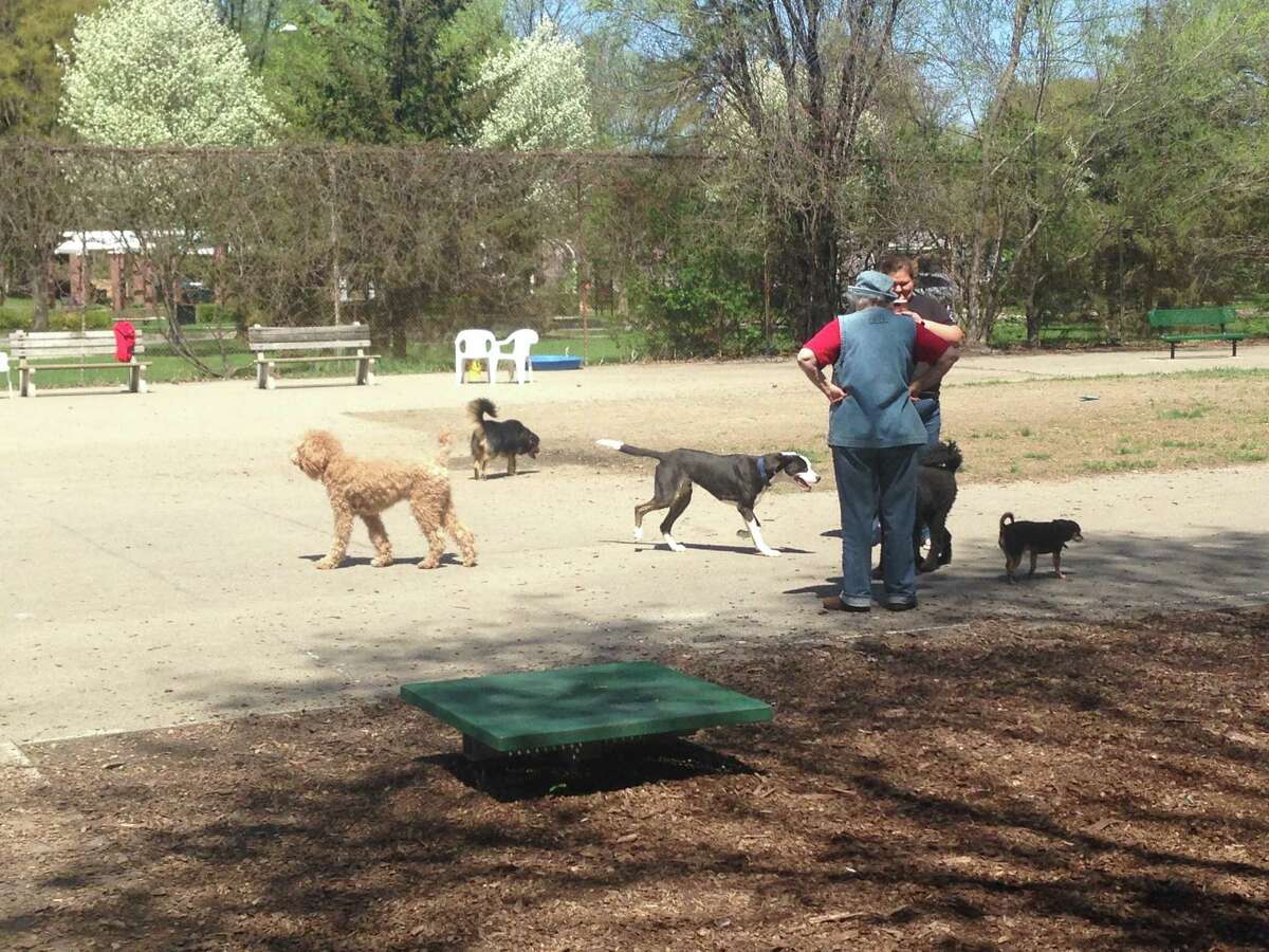 Dog bite leads to new park rules in Schenectady