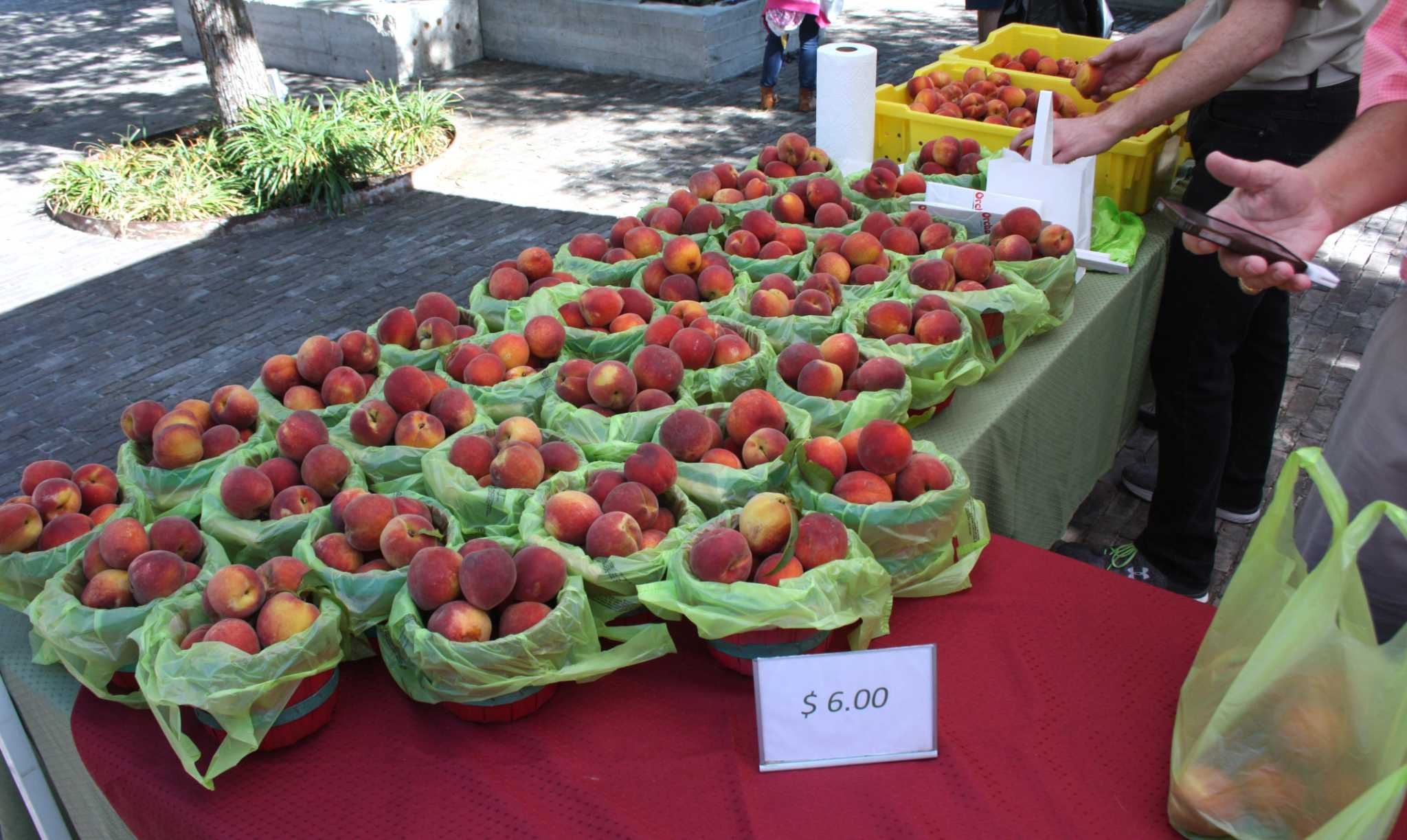 What’s available now in San Antonioarea farmers markets and what to